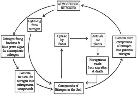 Microorganisms: Friend and Foe Class 8 Science Important Questions Chapter 2