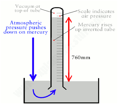 Force and Pressure Class 8 Science Notes Question and Answers