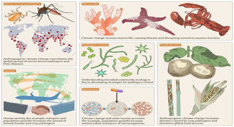 Micro-organisms living places. 