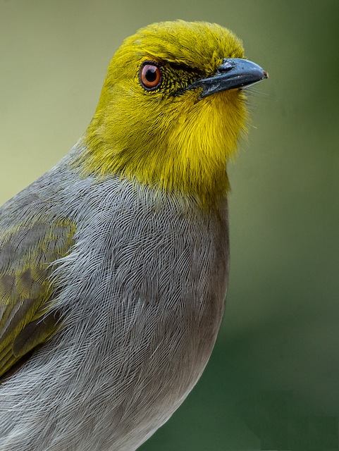 Sri Venkateswara National Park - cbseinsights.com