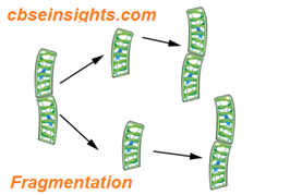 How do organisms Reproduce Class 10 Biology Extra Questions