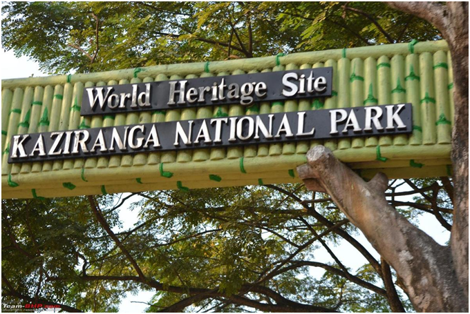 Kaziranga National Park cbseinsights.com -Unesco World heritage site 
