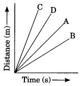 Motion Class 9 Physics MCQ Questions