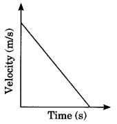 Motion Class 9 Physics MCQ Questions