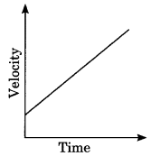 Motion Class 9 Physics MCQ Questions