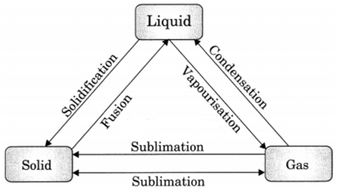 Matter in Our Surroundings