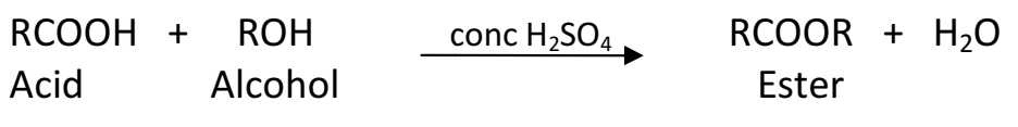 Class-10 Carbon and its Compound