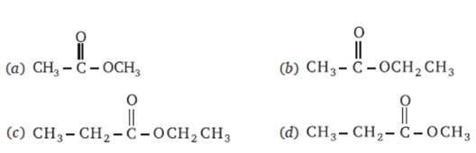 Carbon and its Compound For Class-10 Chemistry-MCQ by cbseinsights.com