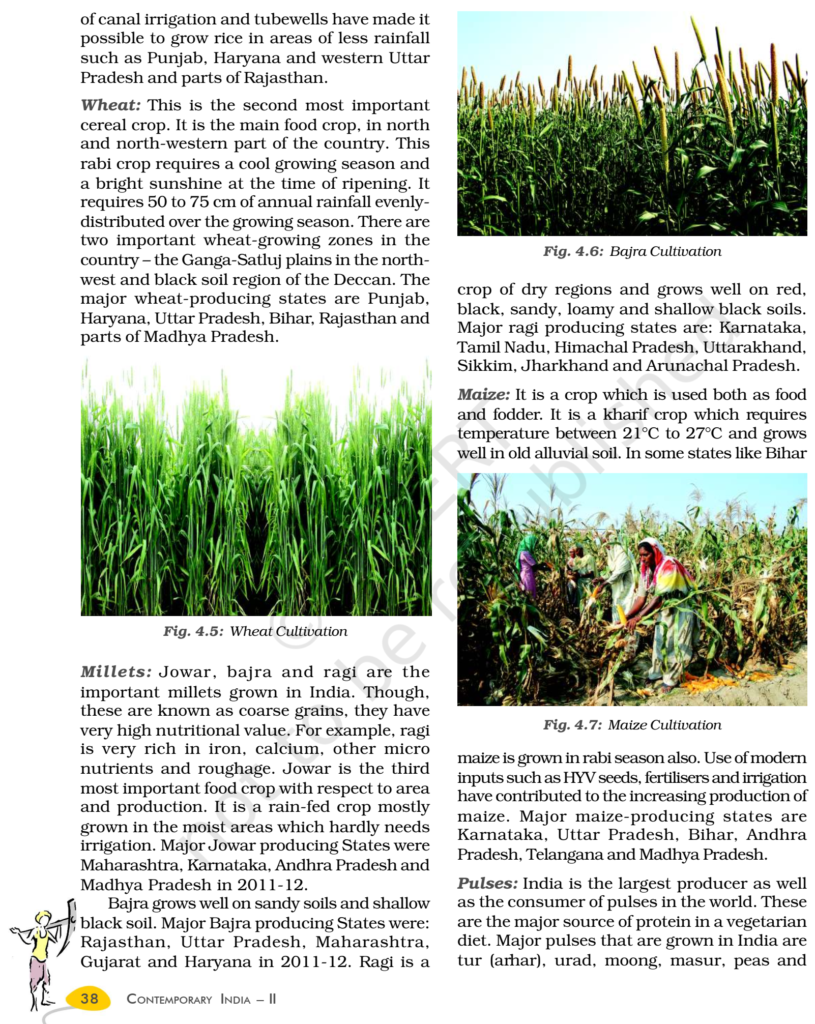 NCERT Book Class 10 Social Science (Geography) Chapter 4 Agriculture