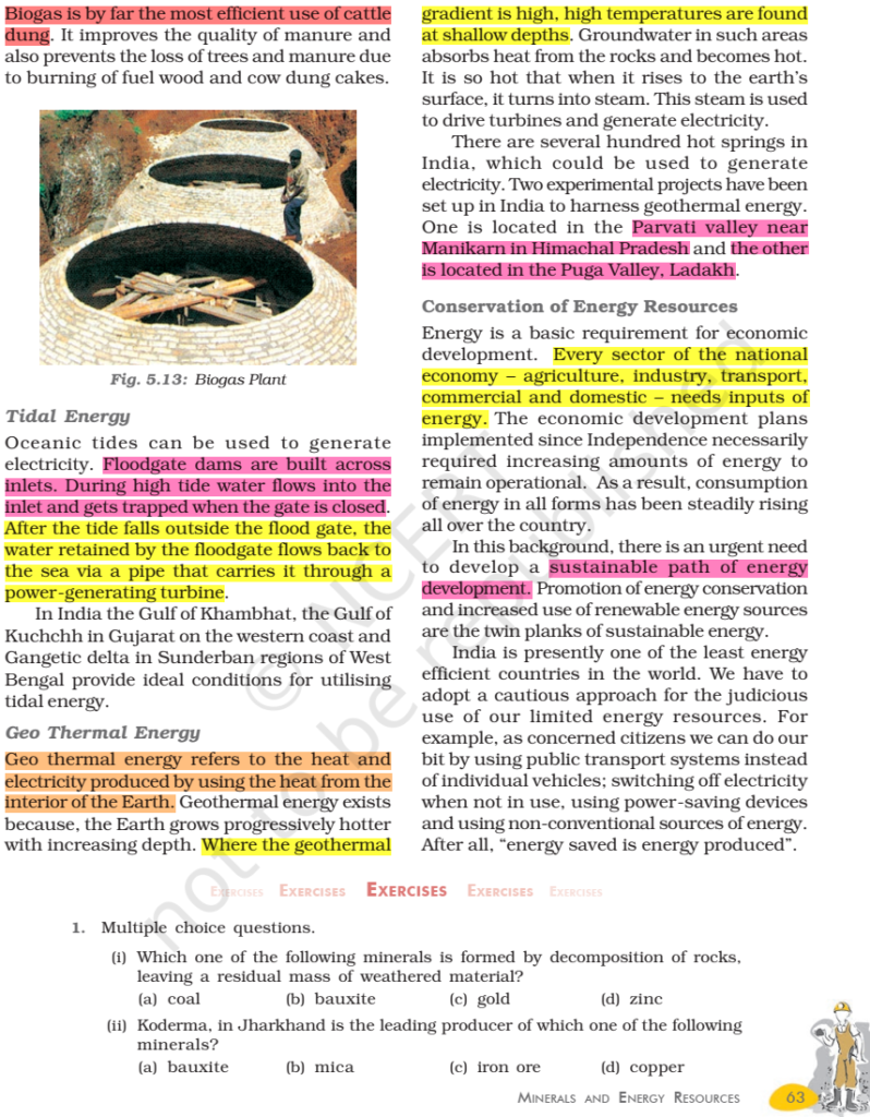 NCERT Book Class 10 Social Science (Geography) Chapter 5 Minerals And ...