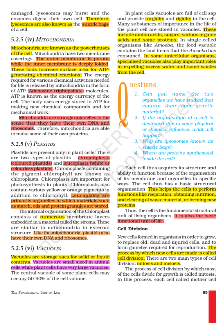 NCERT Book Class 9 (Science) Chapter 5 The Fundamental Unit of Life
