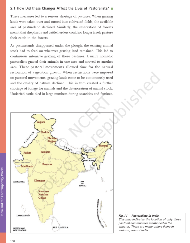 NCERT Book Class 9 Social Science (History) Chapter 5 Pastoralists In ...