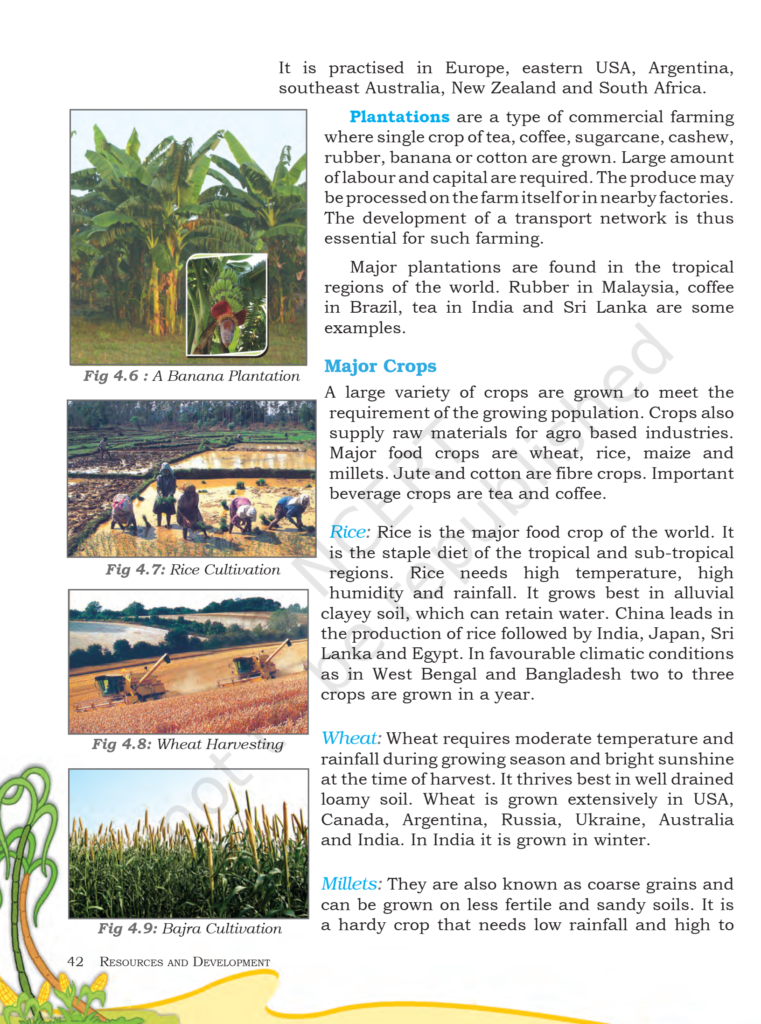 Ncert Book Class 8 Geography Chapter 4 Agriculture