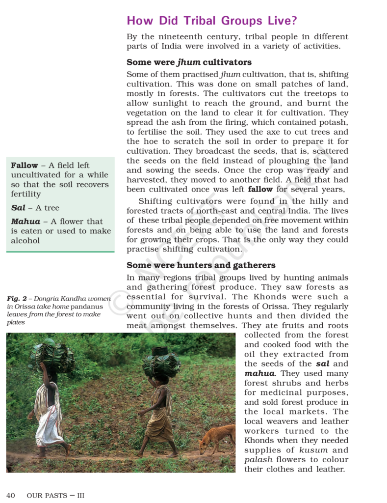 NCERT Book Class 8 (History) Chapter 4 Tribals, Dikus and the vision of ...