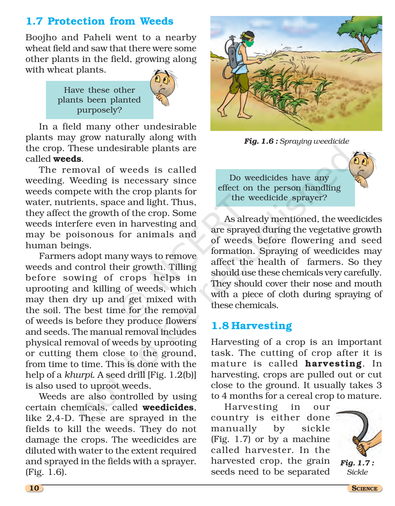 NCERT Book Class 8 (Science) Chapter 1 Crop Production and Management