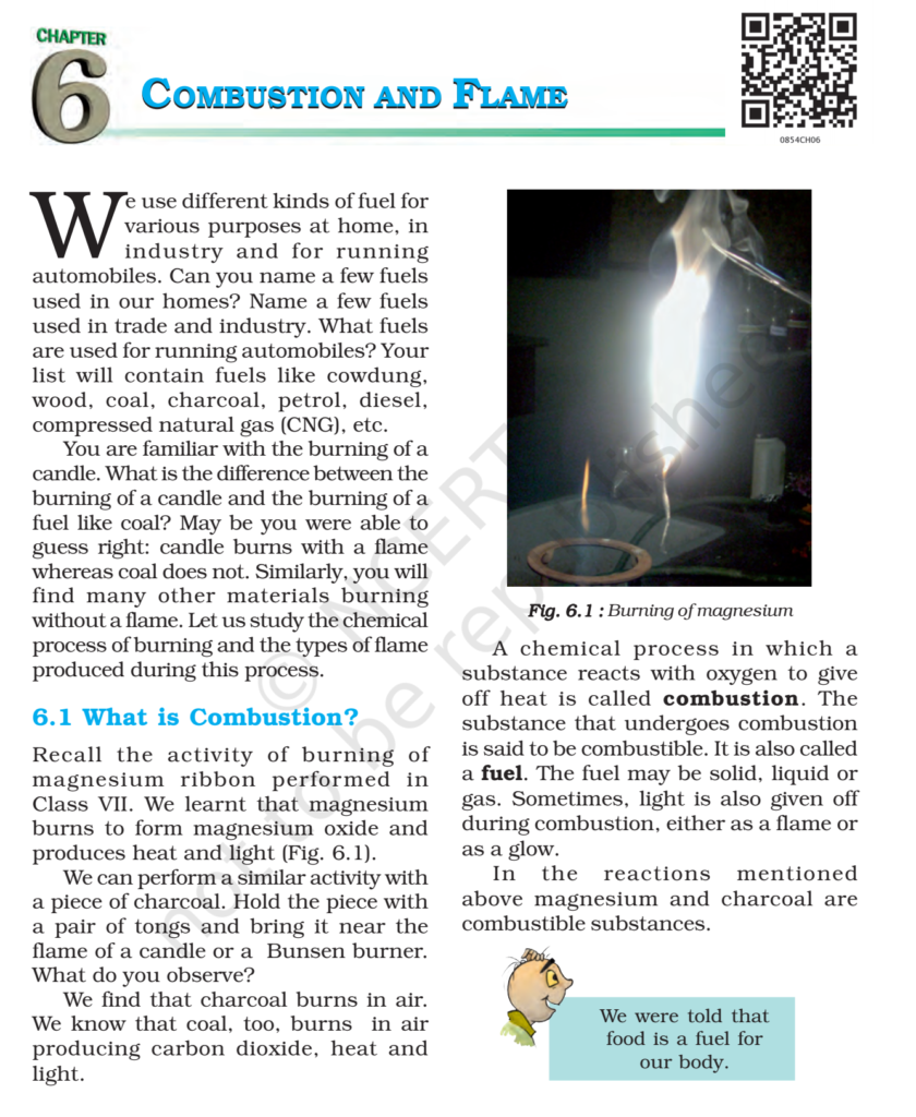 NCERT Book Class 8 (Science) Chapter 6 Combustion and Flame