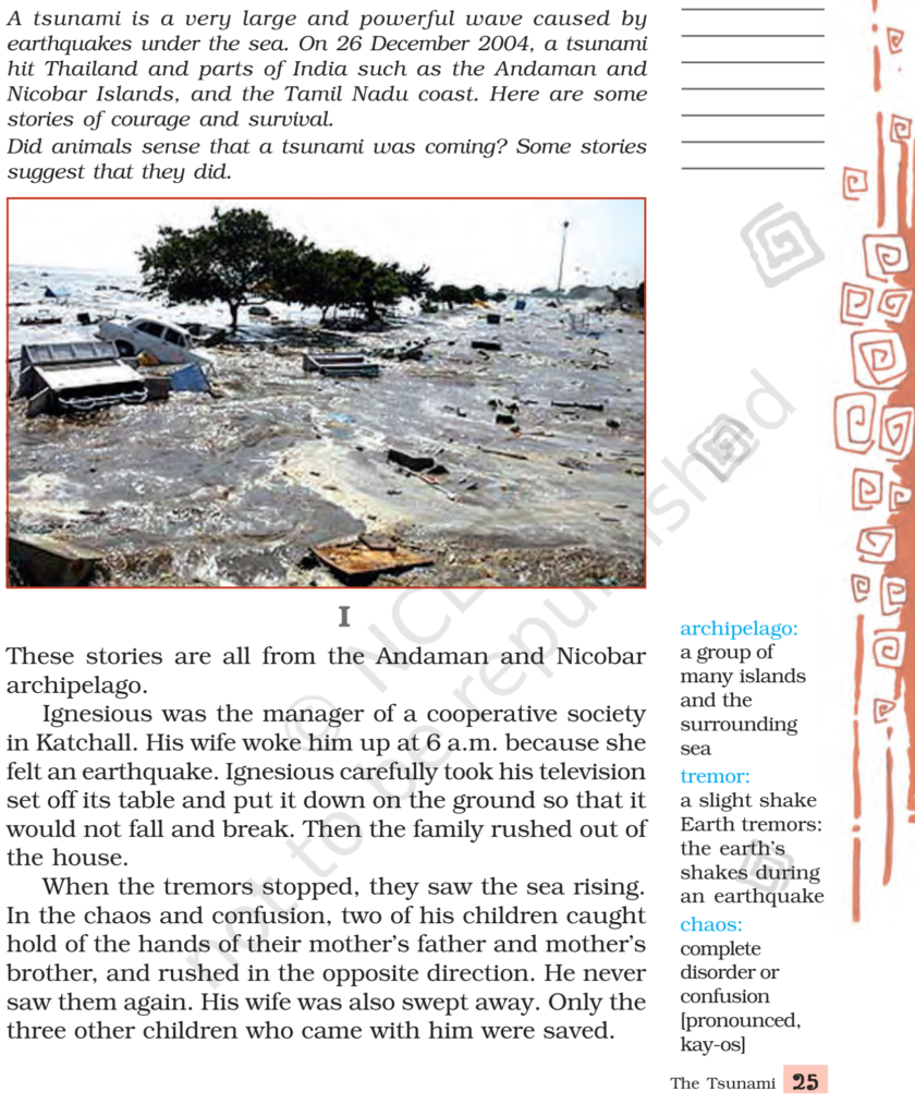 ncert book class 8 english chapter 2 the tsunami