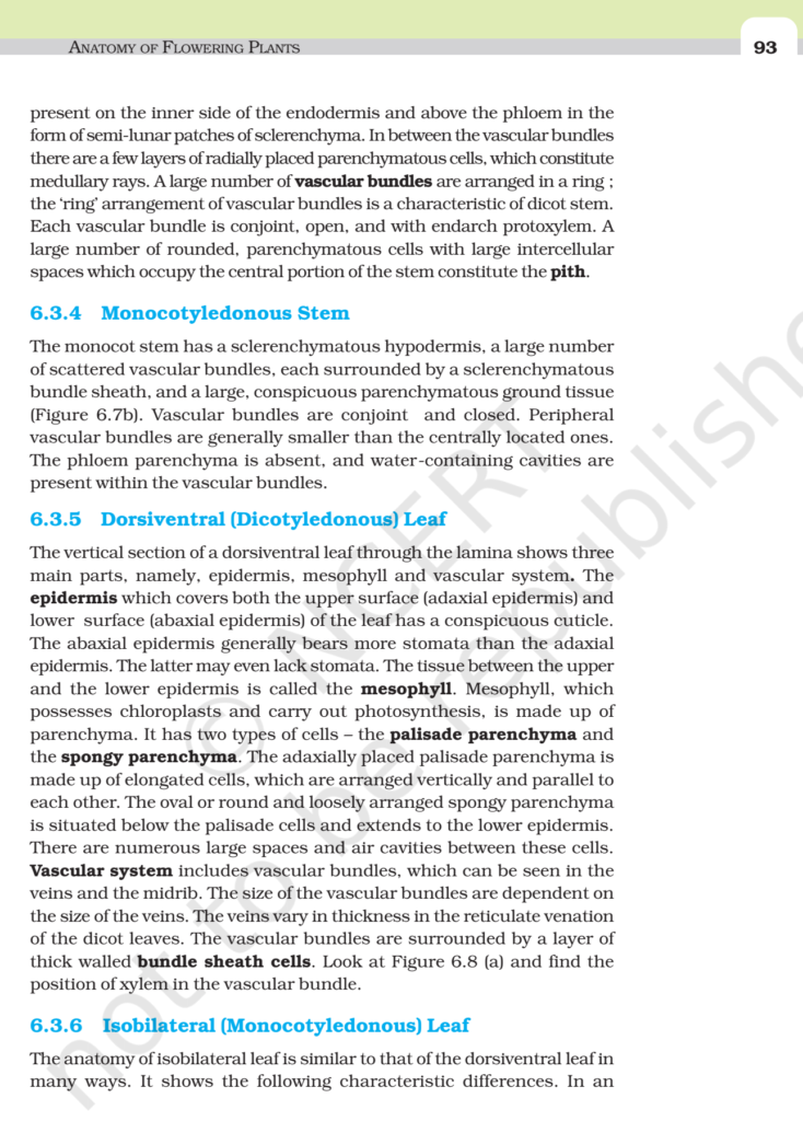 NCERT Book Class 11 (Biology) Chapter 6 Anatomy Of Flowering Plants