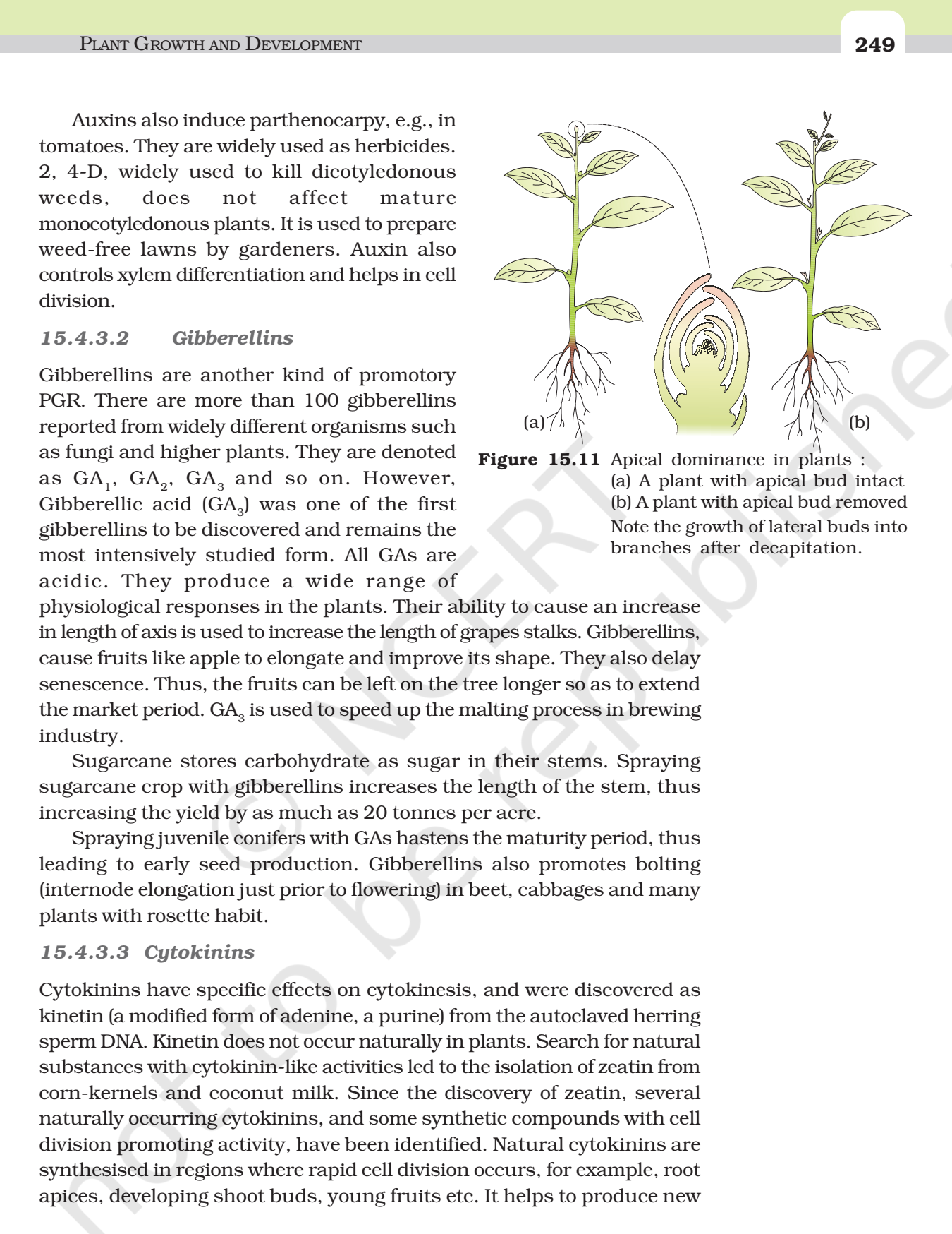 case study on plant growth and development class 11