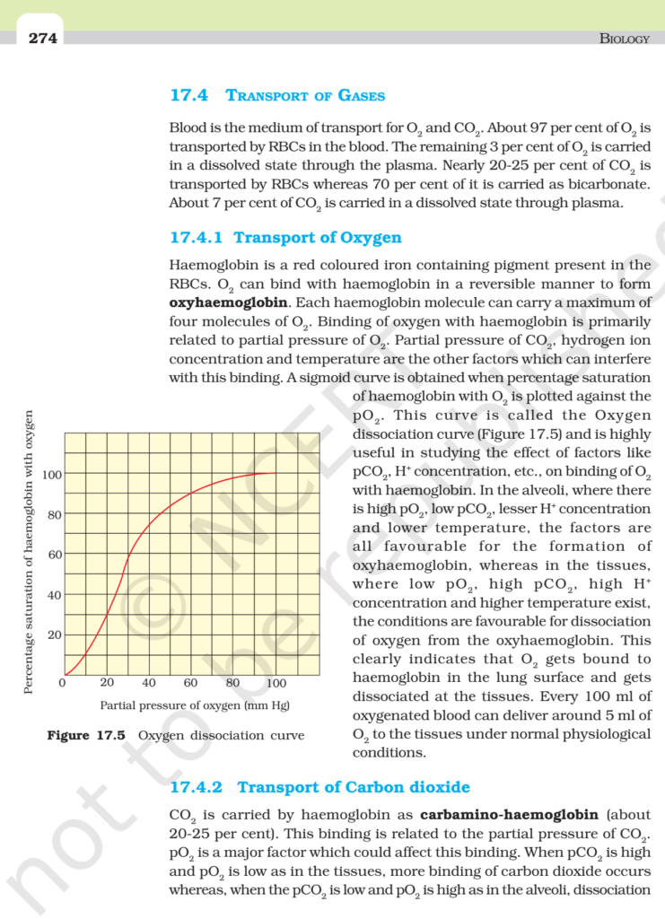 NCERT Book Class 11 (Biology) Chapter 17 Breathing And Exchange Of Gases