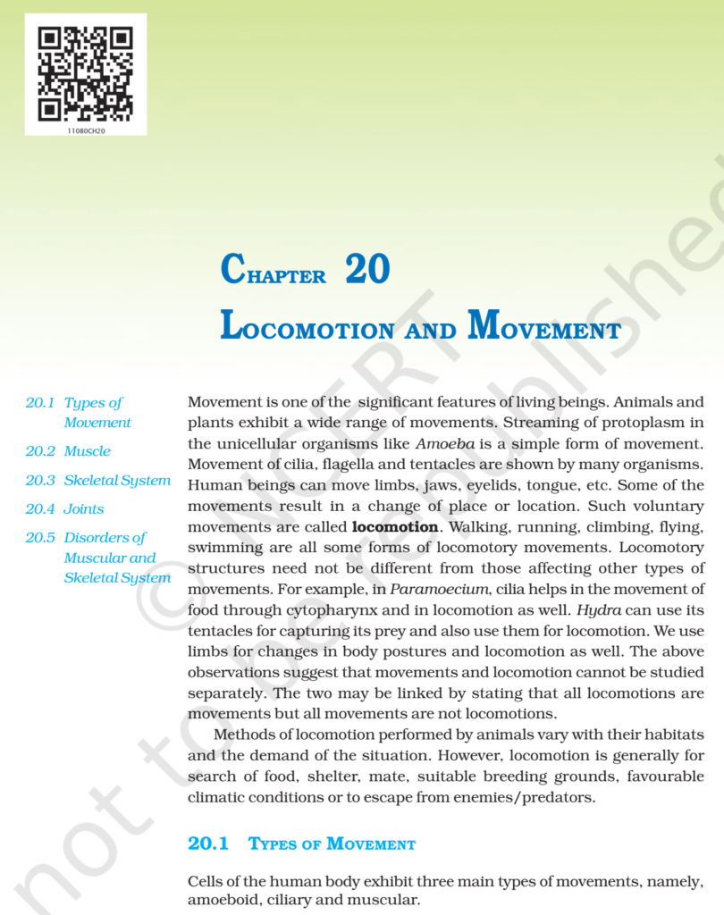 NCERT Book Class 11 (Biology) Chapter 20 Locomotion And Movement