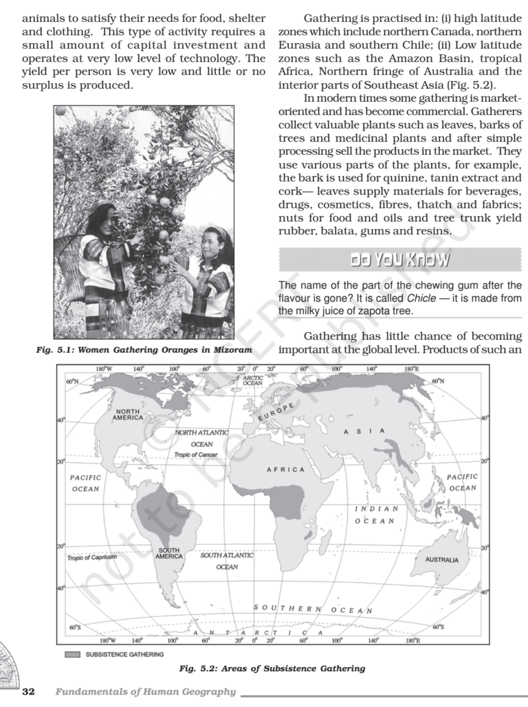 NCERT Book Class 11 (Geography) Chapter 5 Primary Activities