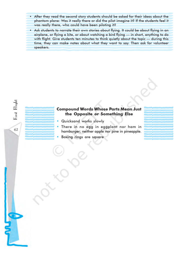 NCERT Book Class 10 (English) Chapter 3 Two Stories About Flying