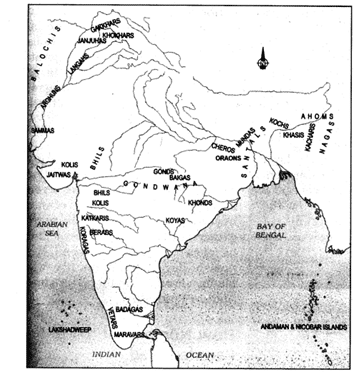 Tribes, Nomads and Settled Communities For Class 7 History Extra ...