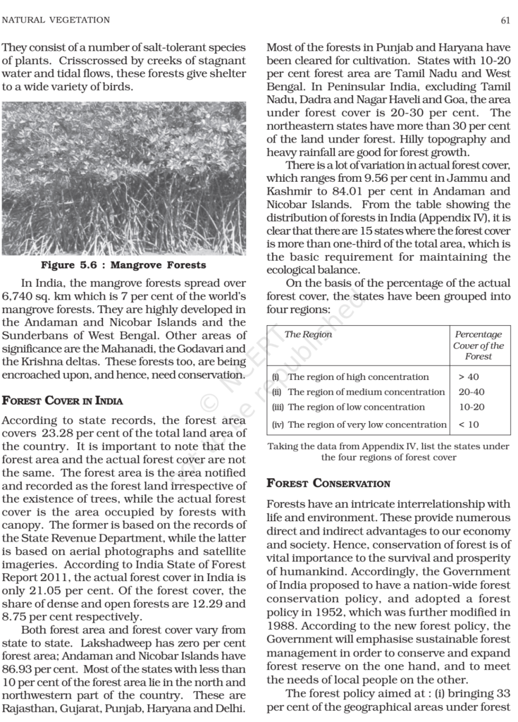 NCERT Book Class 11 (India Physical Environment) Chapter 5 Natural ...