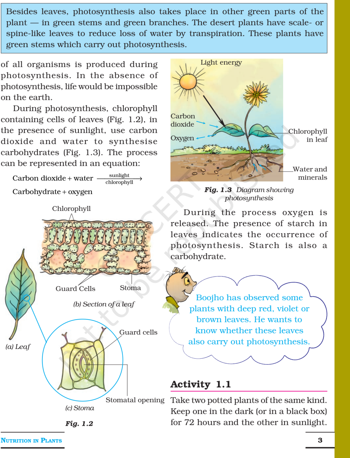 NCERT Books For Class 7 Science Nutrition in Plants