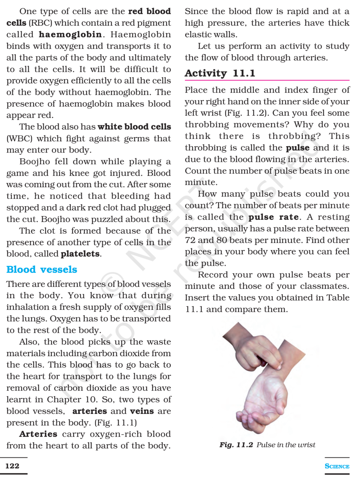 NCERT Books For Class 7 Science Transportation in Animals and Plants