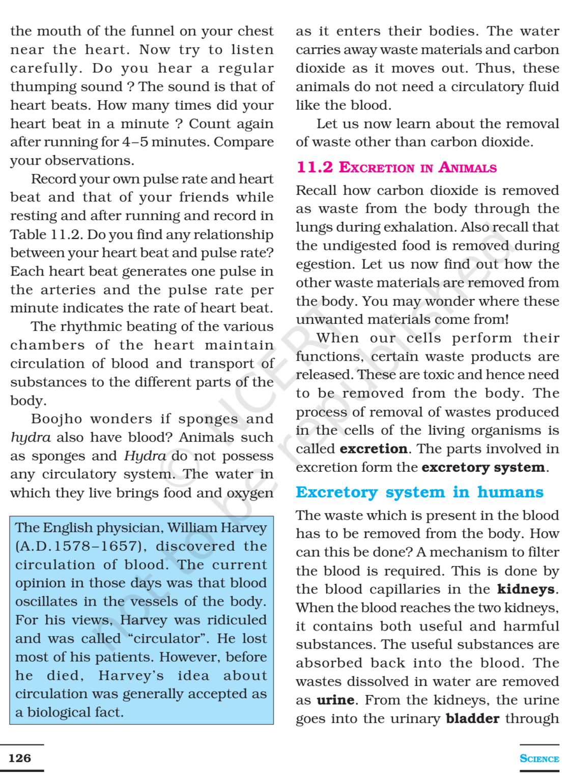 NCERT Books For Class 7 Science Transportation in Animals and Plants