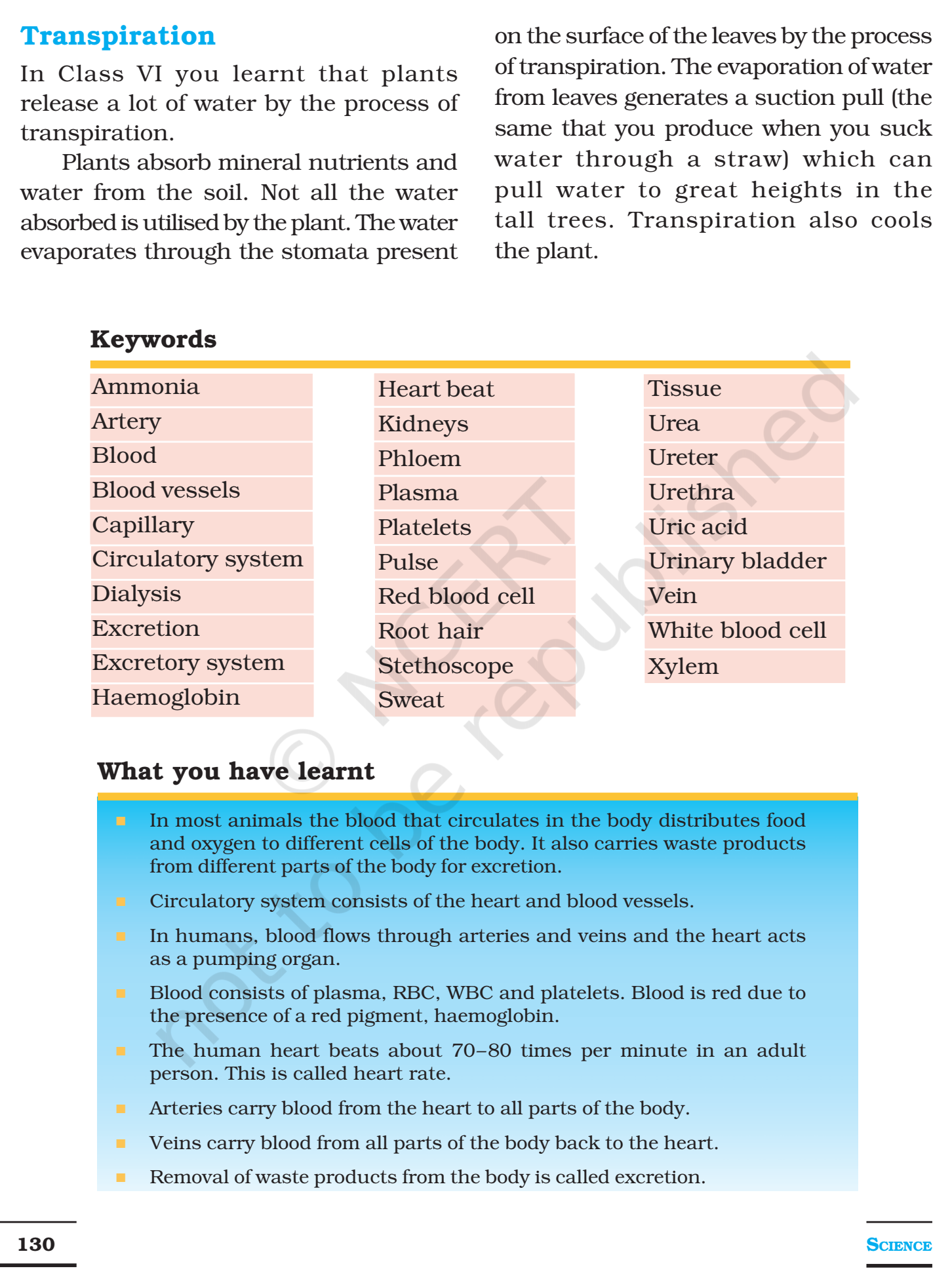 NCERT Books For Class 7 Science Transportation in Animals and Plants