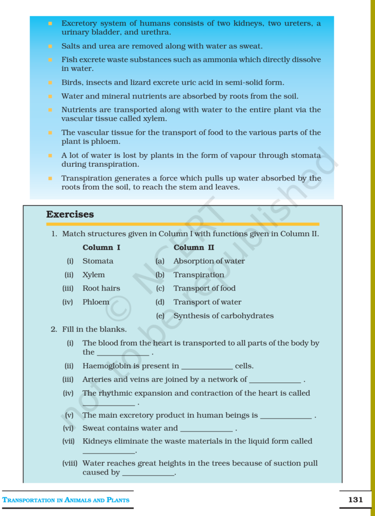 NCERT Books For Class 7 Science Transportation in Animals and Plants