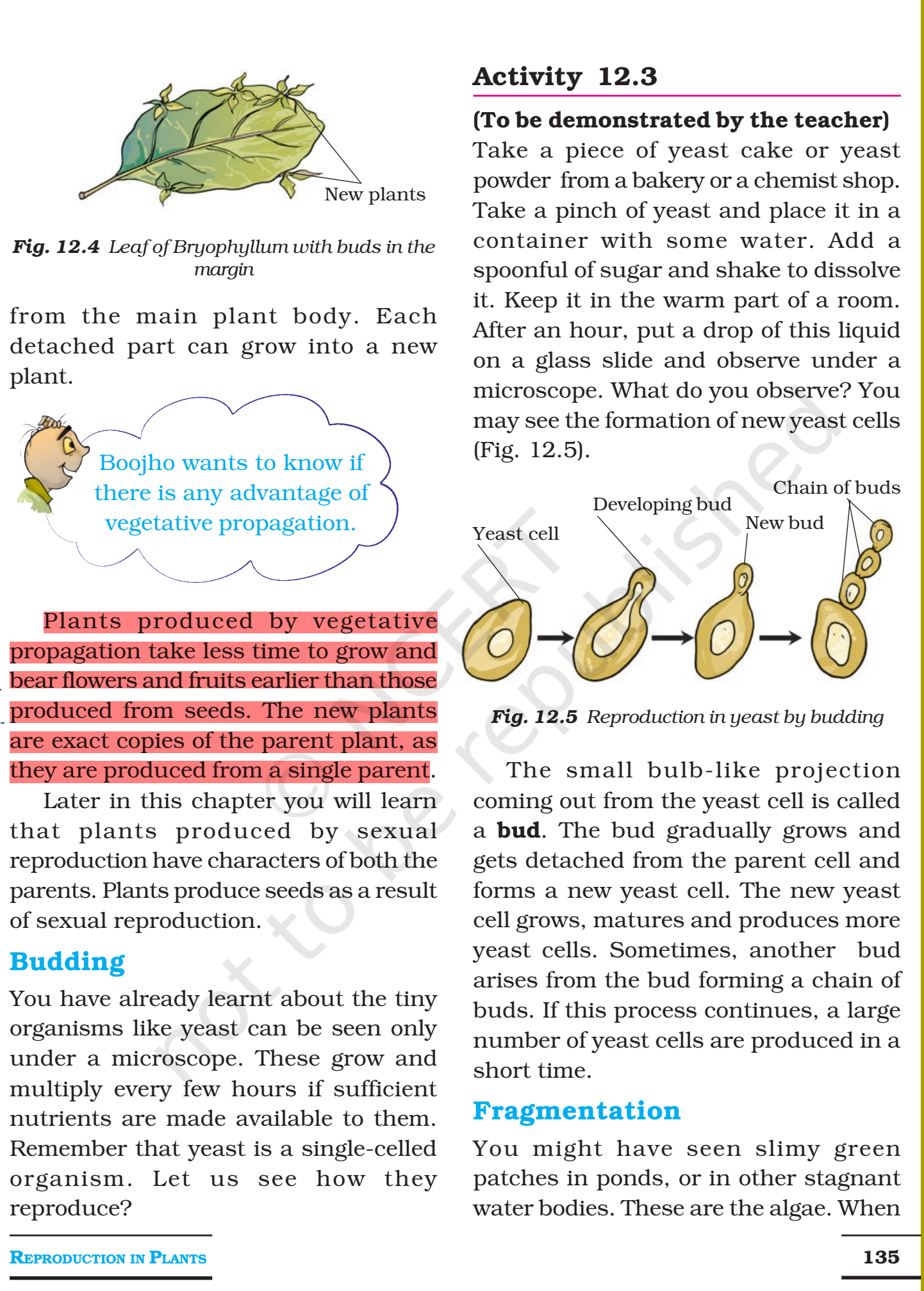 NCERT Books For Class 7 Science Reproduction In Plants