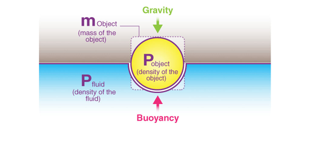 Gravitation For Class 9 Science Summary notes