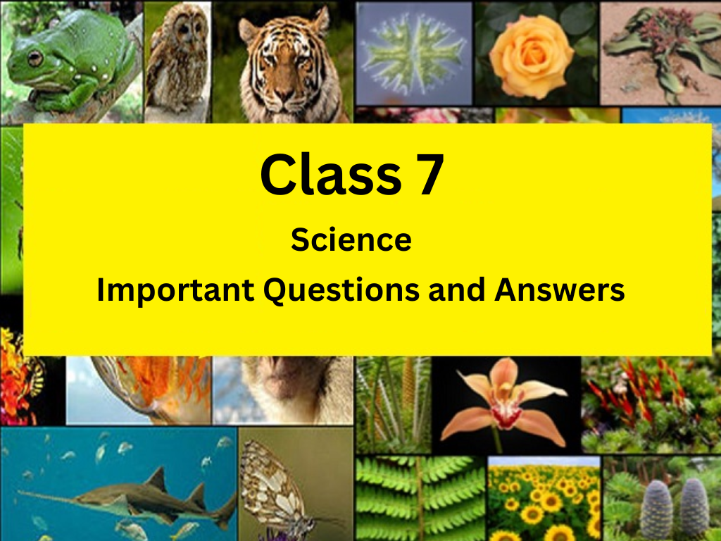 Class 7 Science Important Questions and Answers