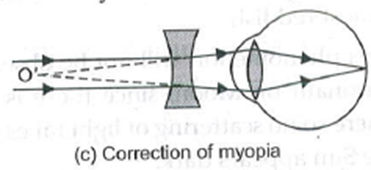 Human Eye and The Colourful World For Class 10 Physics Important Questions