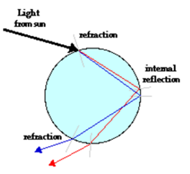 Class 10 Important Questions For Physics Human Eye and The Colourful World For 