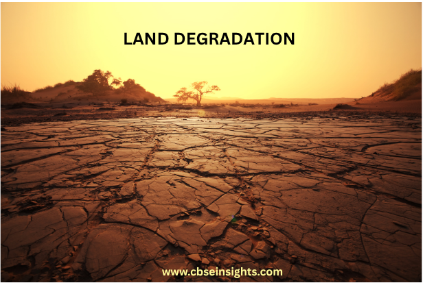 Class 8 Land